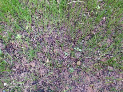 IMG_20201116_142304.jpg