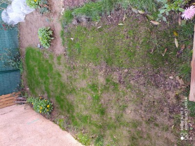 IMG_20201119_010627.jpg