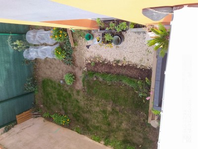 IMG_20201119_010645.jpg