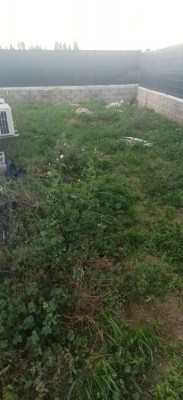 201119085254408229.jpg