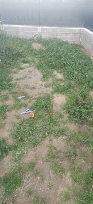 201119085254637315.jpg