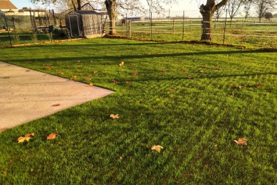IMG_20201121_0904436.jpg