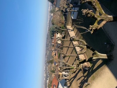 61106793-3C74-4329-9E9F-F1D6C5F23414.jpeg