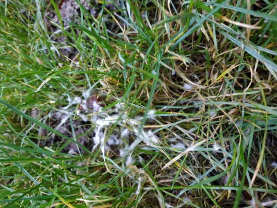 IMG_20201128_134453.jpg