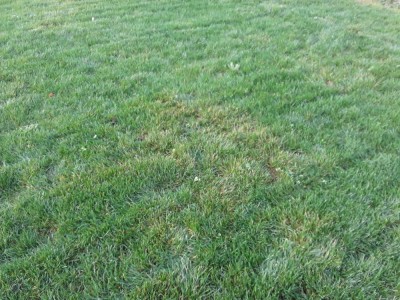 20201206_121209.jpg
