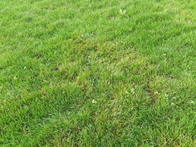 20201206_121126.jpg