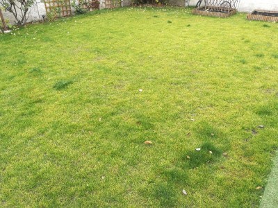 IMG_20201208_101529.jpg