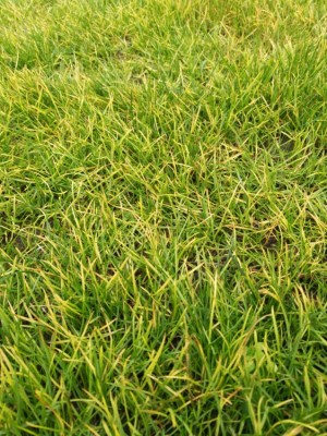 IMG_20201208_101627.jpg