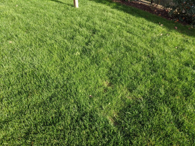 PXL_20201222_130452124.jpg