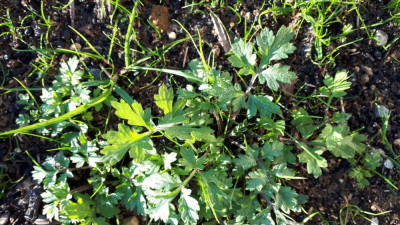 20201228_154954.jpg