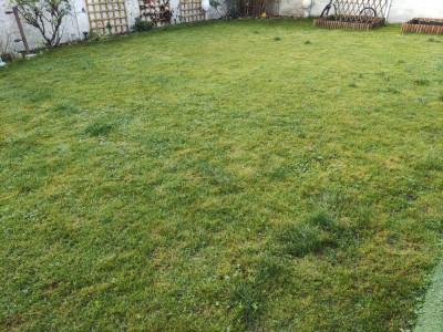 IMG_20210108_101648.jpg