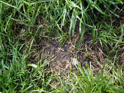 20160607_181811.jpg