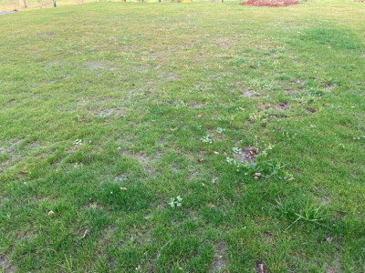 IMG_0366.JPG