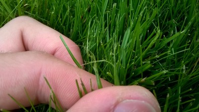WP_20160610_001.jpg