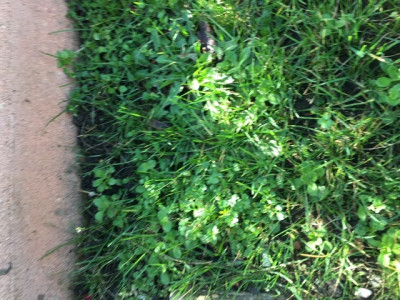 5B7967AA-C2A0-4789-AF99-1C1A1A1EC3D5.jpeg