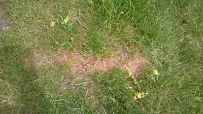 WP_20160610_004.jpg