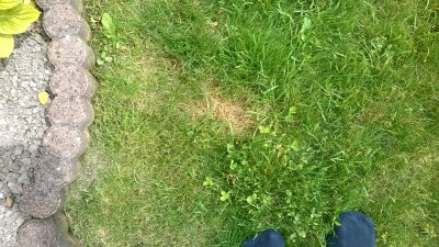 WP_20160610_005.jpg