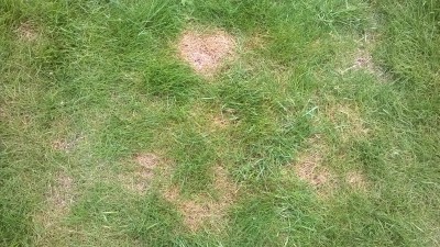WP_20160610_006.jpg