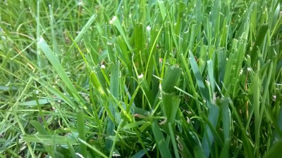 WP_20160610_008.jpg
