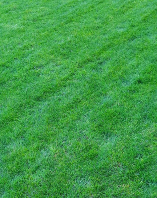 20210319_182110.jpg