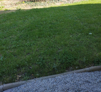 IMG_20210323_162127.jpg