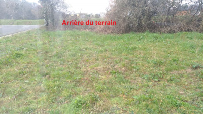 arrière du terrain.jpg