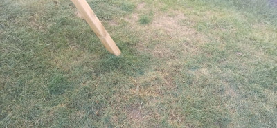IMG_20210406_193548.jpg