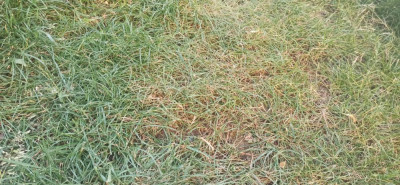 IMG_20210406_193521.jpg