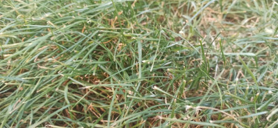 IMG_20210406_193516.jpg