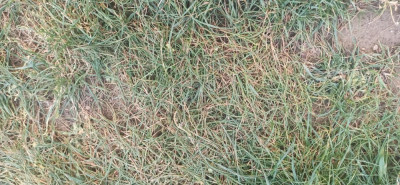 IMG_20210406_193501.jpg