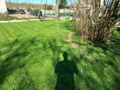 20210407_105057.jpg