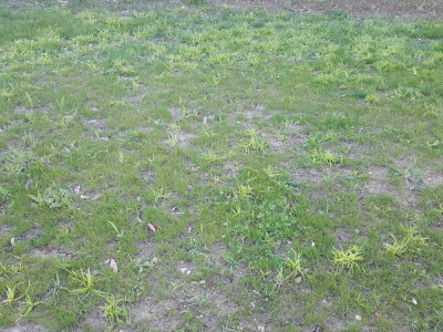 20210412_184836.jpg
