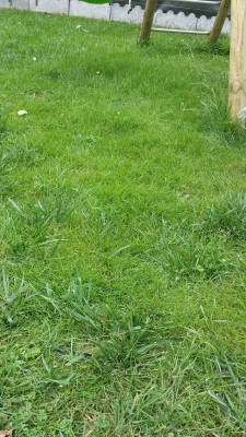 20160615_155433.jpg