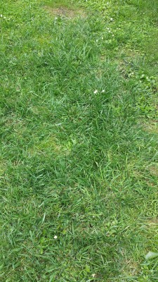 20160615_155444.jpg