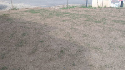 P_20210421_171248_vHDR_On.jpg
