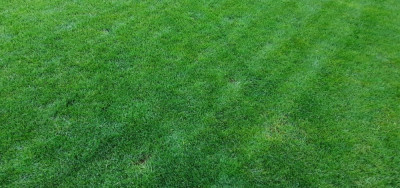 20210424_202321.jpg