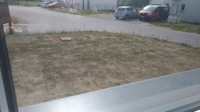 P_20210425_110101_vHDR_On.jpg