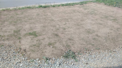 P_20210425_110048_vHDR_On.jpg