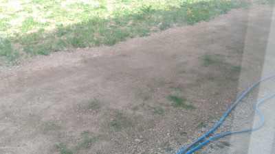 P_20210425_110120_vHDR_On.jpg