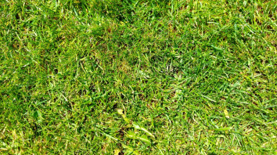 20210425_142328.jpg