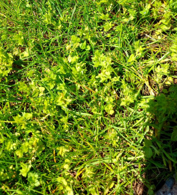 20210425_141117.jpg