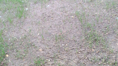 P_20210425_194728_vHDR_On.jpg