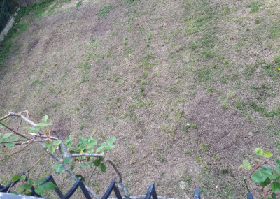 20210428_141640.jpg