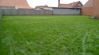 WP_20160619_008.jpg