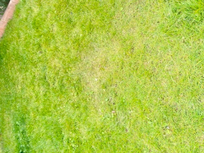 6AA60B6F-BB51-4133-83DF-ABE20F0685D6.jpeg