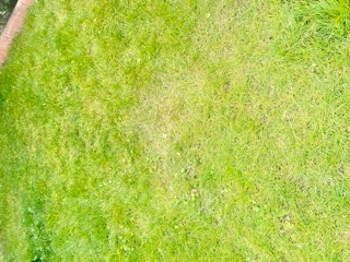272DB2E6-26AB-4E97-8B0F-3B3B65089F55.jpeg