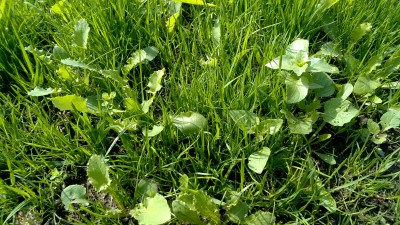 WP_20160619_001.jpg
