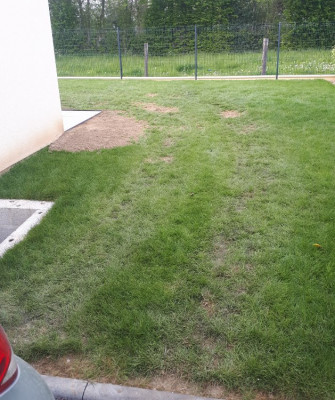 Côté est, terrain tassé par les engins + gazon arraché.