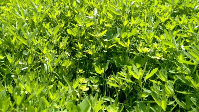 WP_20160619_005.jpg