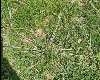SmartSelect_20210504-223348_Gallery.jpg